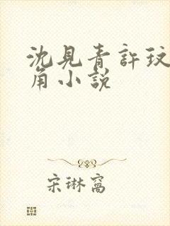 沈见青许玟玟主角小说