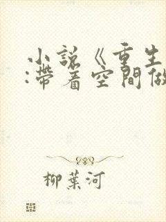 小说《重生八零:带着空间做大佬》