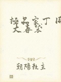 极品家丁 同人 大春袋