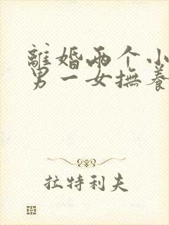 离婚两个小孩一男一女抚养权怎么判定