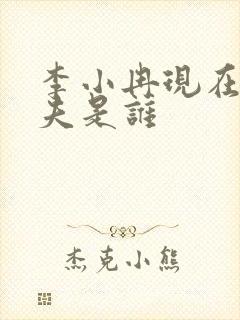 李小冉现在的丈夫是谁