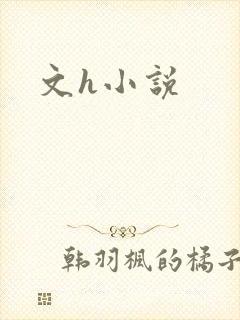 文h小说封面