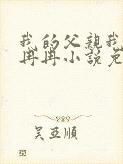 我的父亲我的妻冉冉小说免费阅读封面