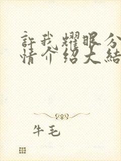 许我耀眼分集剧情介绍大结局