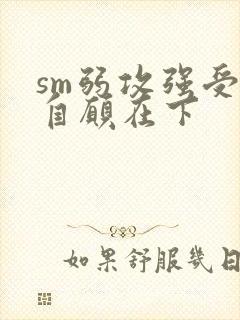 sm弱攻强受受自愿在下封面
