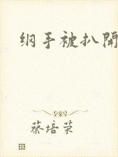 纲手被扒开狂揉