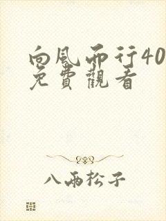 向风而行40集免费观看