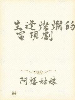 生逢灿烂的日子 电视剧封面