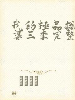 我的极品总裁老婆三季完整版