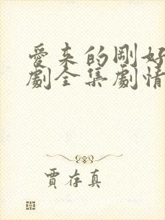 爱来的刚好电视剧全集剧情介绍