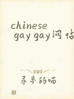 chinese gay gay网站视频