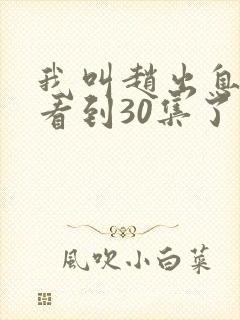 我叫赵出息可以看到30集了