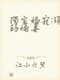 独家婚宠:琛少的娇妻