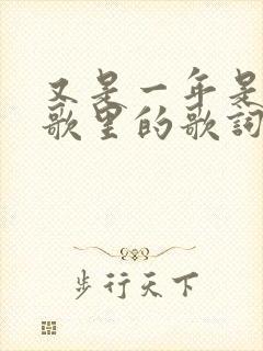 又是一年是哪首歌里的歌词