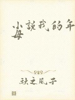 小说我的年轻岳母