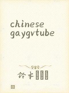 chinesegaygvtube封面