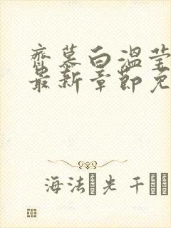 齐慕白温莹小说最新章节免费阅读全