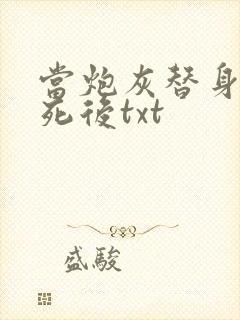 当炮灰替身的我死后txt