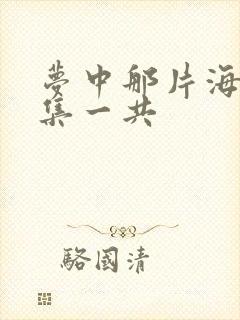 梦中那片海多少集一共