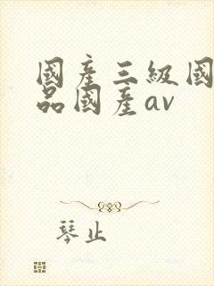 国产三级国产精品国产av