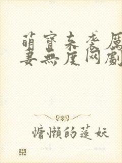 萌宝来袭厉总宠妻无度网剧