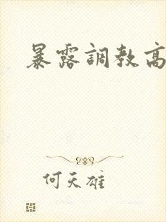 暴露调教高h文封面