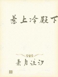 惹上冷殿下续写