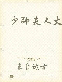 少帅夫人大结局