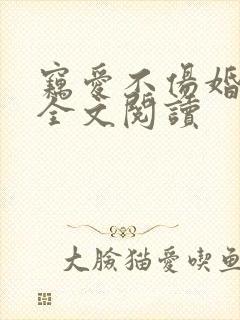 窃爱不伤婚免费全文阅读