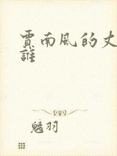 贾南风的丈夫是谁