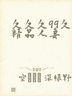 久久久99久久精品人妻