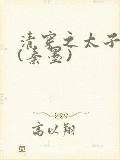 清穿之太子宠妃(秦墨)