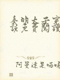 秦明太子穿越小说免费阅读