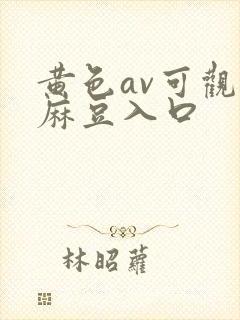 黄色av可观看麻豆入口封面