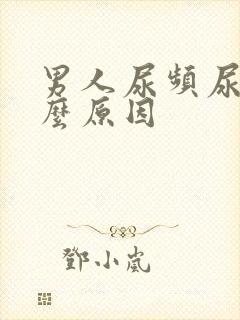 男人尿频尿是什么原因封面