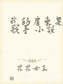 我的房东是偶像歌手 小说