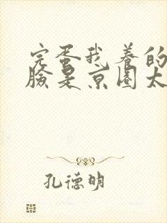 完蛋我养的小白脸是京圈太子爷