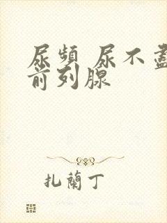 尿频 尿不尽 前列腺