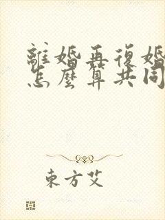 离婚再复婚财产怎么算共同财产的