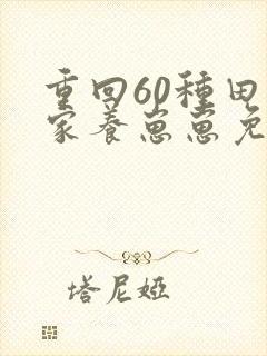 重回60种田发家养崽崽免费阅读