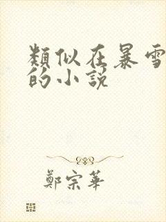 类似在暴雪时分的小说封面