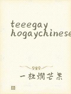 teeegayhogaychinesexxxxvideso封面