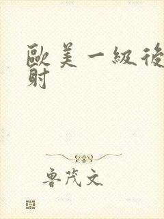 欧美一级后入内射