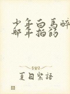 少年白马醉春风哪年拍的