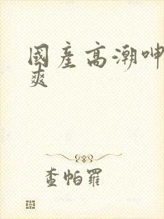 国产高潮呻吟操爽