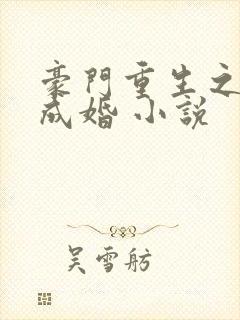 豪门重生之暖爱成婚 小说