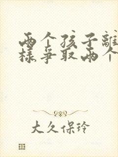 两个孩子离婚怎样争取两个孩子的抚养权封面