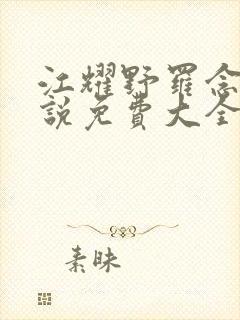 江耀野罗念念小说免费大全