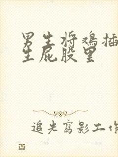 男生将鸡插进女生屁股里封面