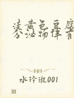 淡黄色豆腐渣样分泌物伴有瘙痒还有淡色血封面